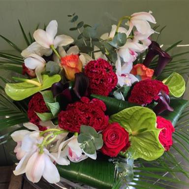 Exotic Array Ginger Lily Florist Rochester Exotic Array Ginger Lily Florist Rochester