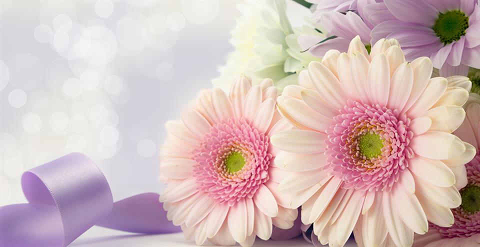 Ginger Lily, Rochester Kent